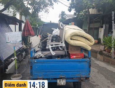 hình 24