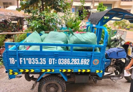 Dịch Vụ Chuyển Trọ Uy Tín – Hỗ Trợ Sinh Viên 24/7 Tại Quận 12