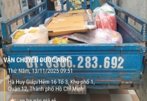 hình 8