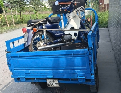 hình 11