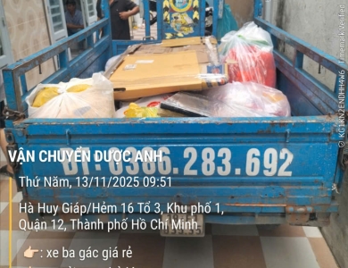 hình 8